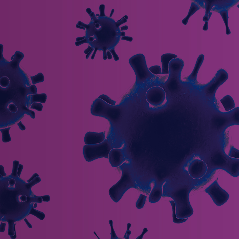 Purple Virus shapes